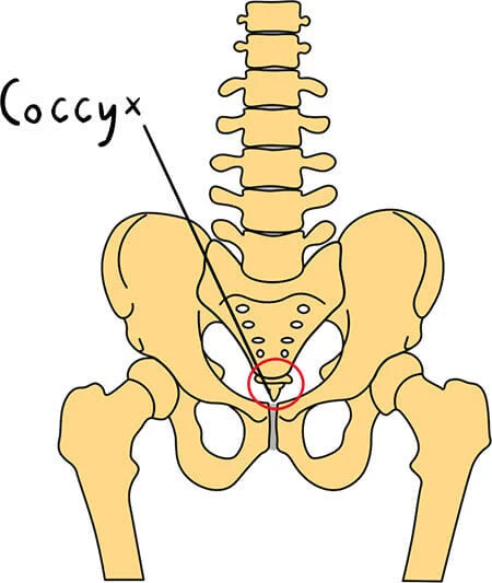 Comment soulager une douleur au coccyx ?